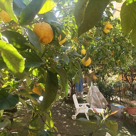 Il Giardino Nascosto Hotel Наполи Екстериор снимка