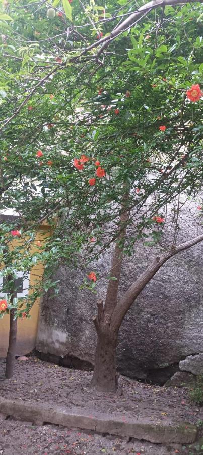 Il Giardino Nascosto Hotel Наполи Екстериор снимка
