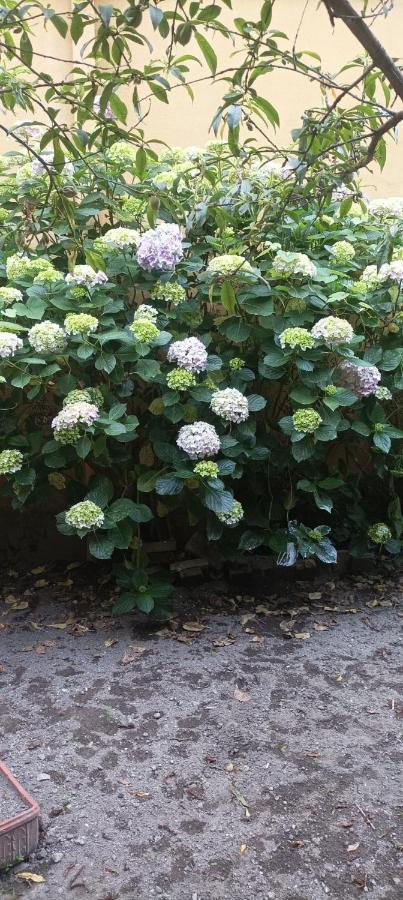 Il Giardino Nascosto Hotel Наполи Екстериор снимка