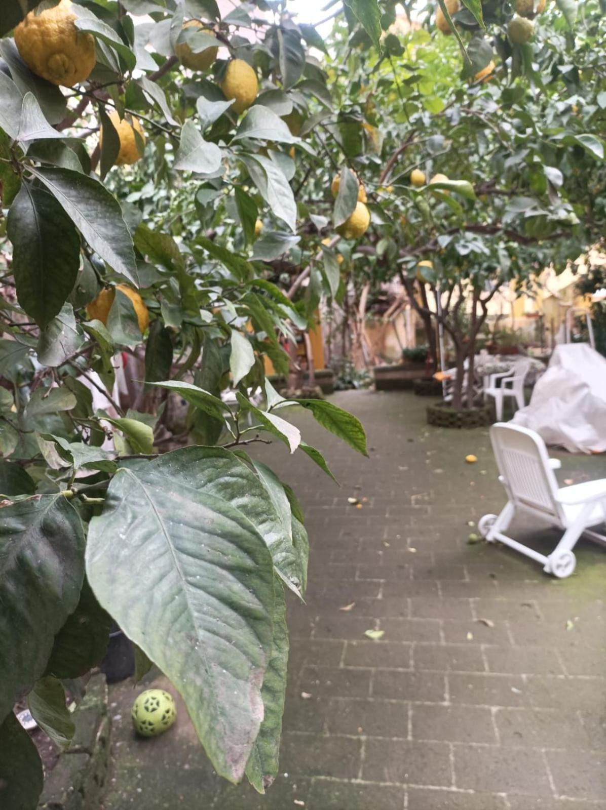 Il Giardino Nascosto Hotel Наполи Екстериор снимка