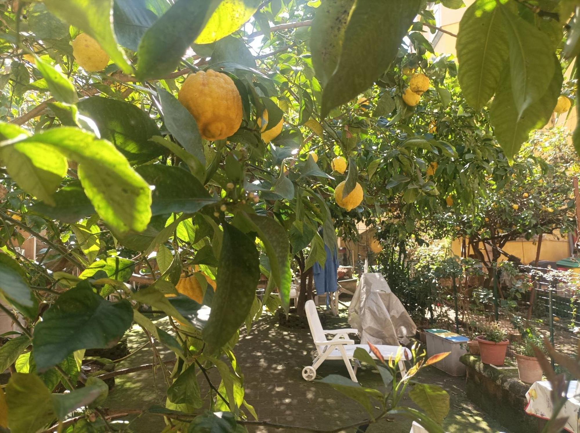 Il Giardino Nascosto Hotel Наполи Екстериор снимка